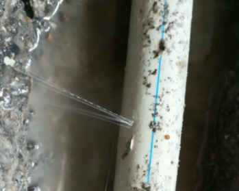郊区卫生间测漏水多少钱