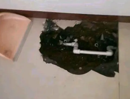 郊区卫生间测漏水多少钱